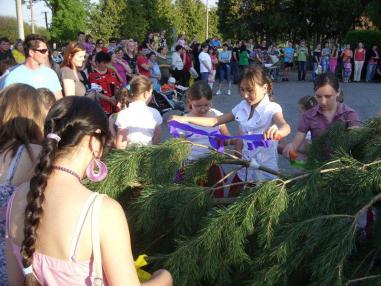 Majáles Majáles